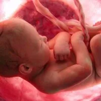 موقع الدكتور ايمن البدارين الرسمي - aymanbadarin.com | حكم إجهاض الجنين قبل نفخ الروح فيه دراسة فقهية قانونية مقارنة للدكتور أيمن البدارين موقع الدكتور ايمن البدارين الرسمي - aymanbadarin.com|حكم إجهاض الجنين قبل نفخ الروح فيه دراسة فقهية قانونية مقارنة للدكتور أيمن البدارين