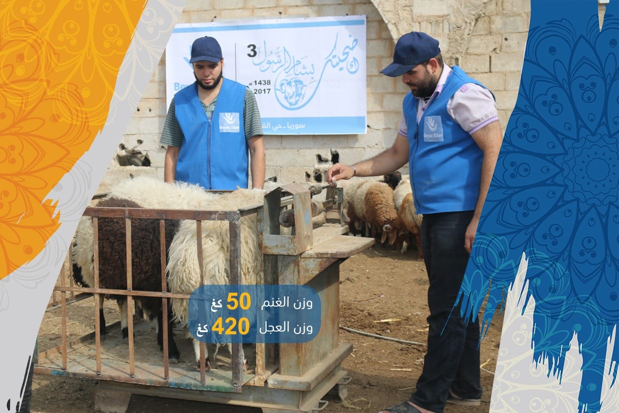 موقع الدكتور ايمن البدارين الرسمي - aymanbadarin.com | حكم بيع الشاة على أن وزنها كما اشتراها أمس مع غلبة نقصه