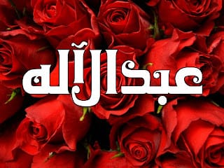 موقع الدكتور ايمن البدارين الرسمي - aymanbadarin.com | ما حكم التسمي بـ " عبد الرب " و " عبد الإله "؟ موقع الدكتور ايمن البدارين الرسمي - aymanbadarin.com | ما حكم التسمي بـ " عبد الرب " و " عبد الإله "؟