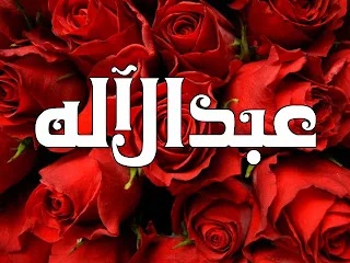 موقع الدكتور ايمن البدارين الرسمي - aymanbadarin.com | ما حكم التسمي بـ " عبد الرب " و " عبد الإله "؟