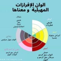 موقع الدكتور ايمن البدارين الرسمي - aymanbadarin.com | نقض الافرازات المهبلية للوضوء دراسة فقهية مقارنة للدكتور ايمن البدارين