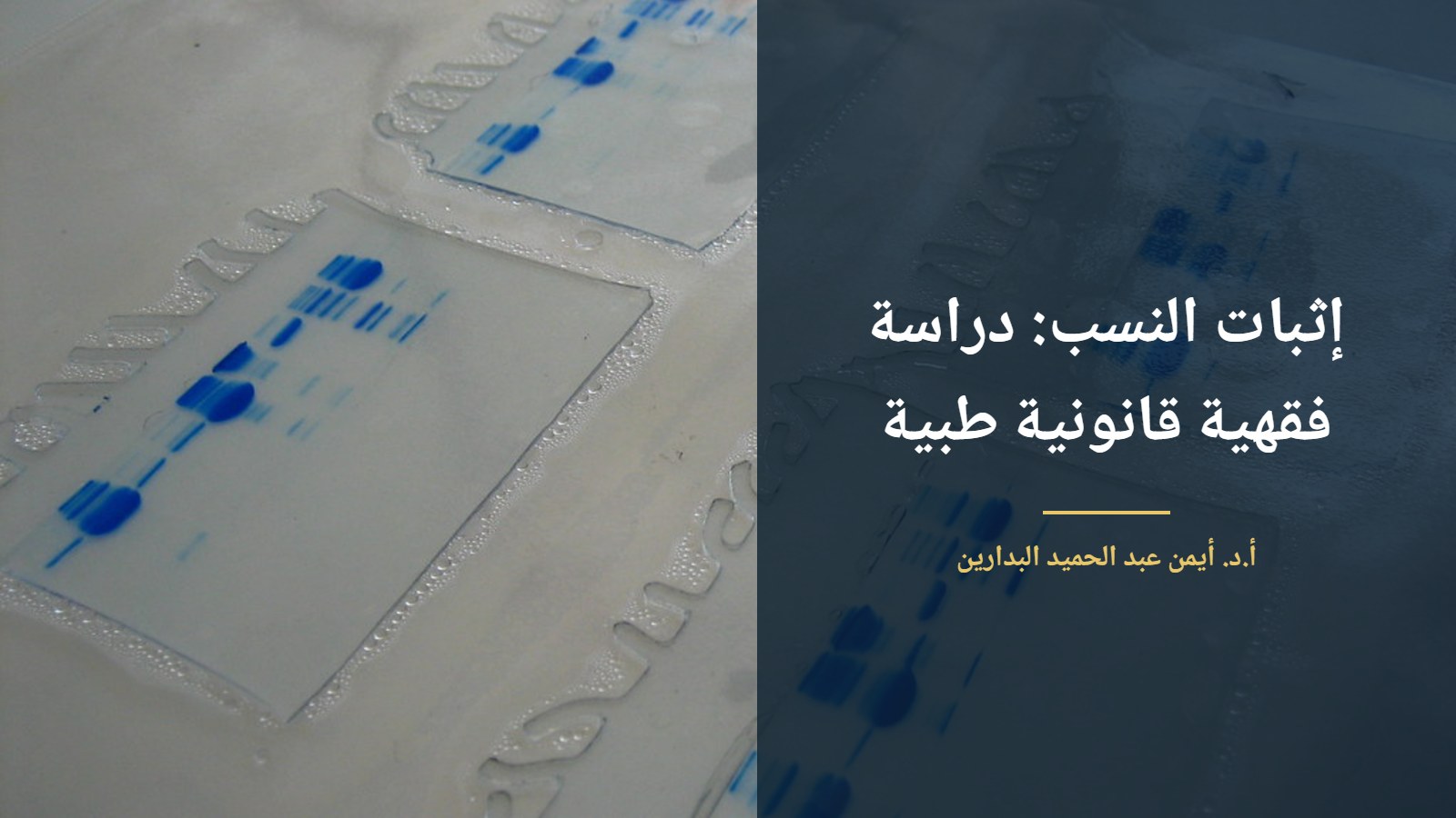 موقع الدكتور أيمن البدارين الرسمي | اثبات النسب دراسة فقهية قانونية طبية، بمناقشة الدكتور أيمن البدارين موقع الدكتور أيمن البدارين الرسمي | اثبات النسب دراسة فقهية قانونية طبية، بمناقشة الدكتور أيمن البدارين