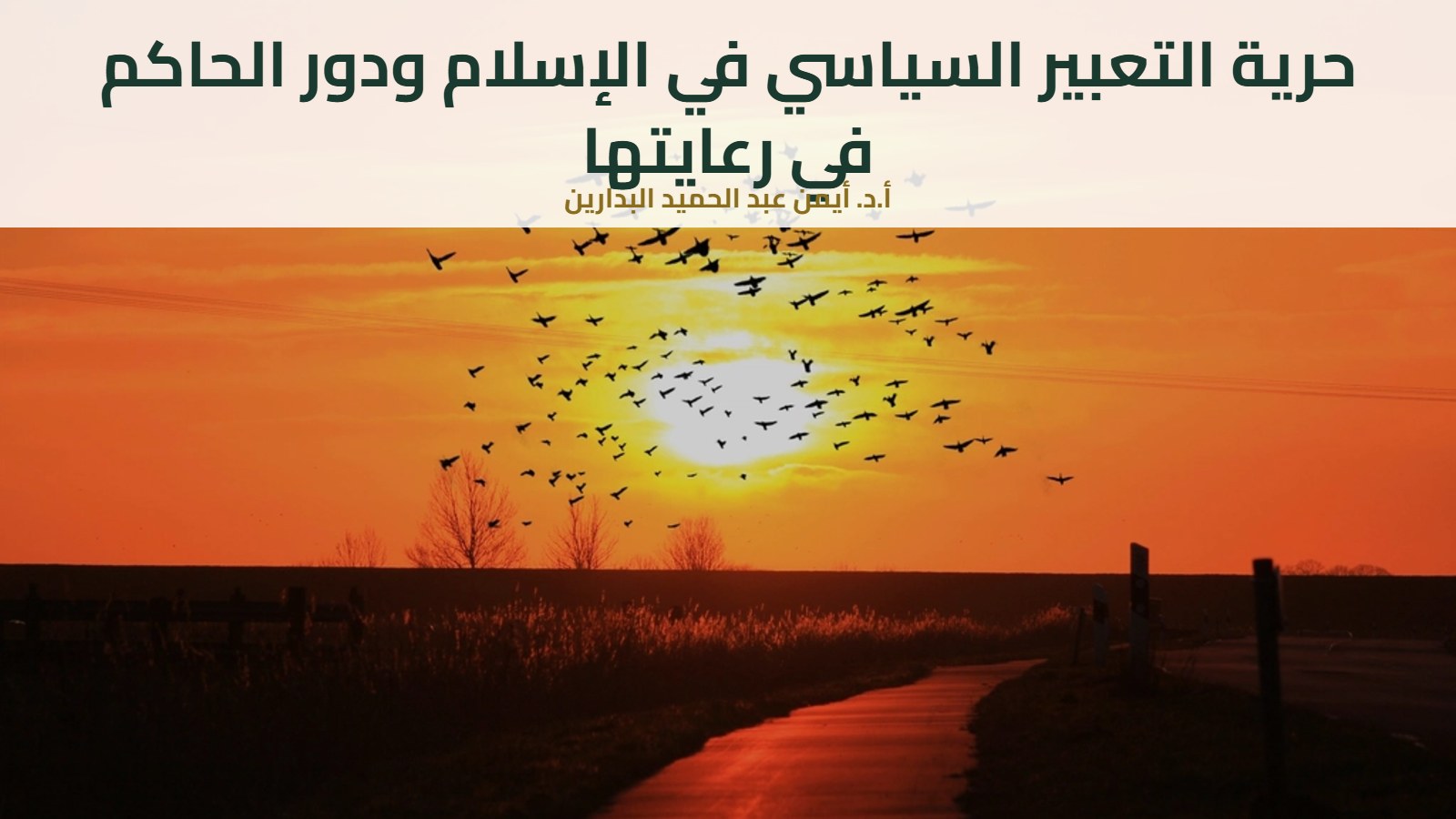 سرب طيور فوق طريق عند الغروب
