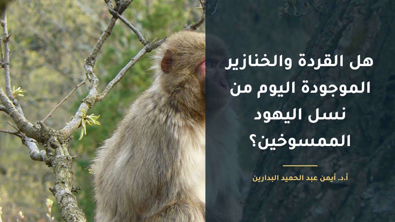 قرد على جذع شجرة