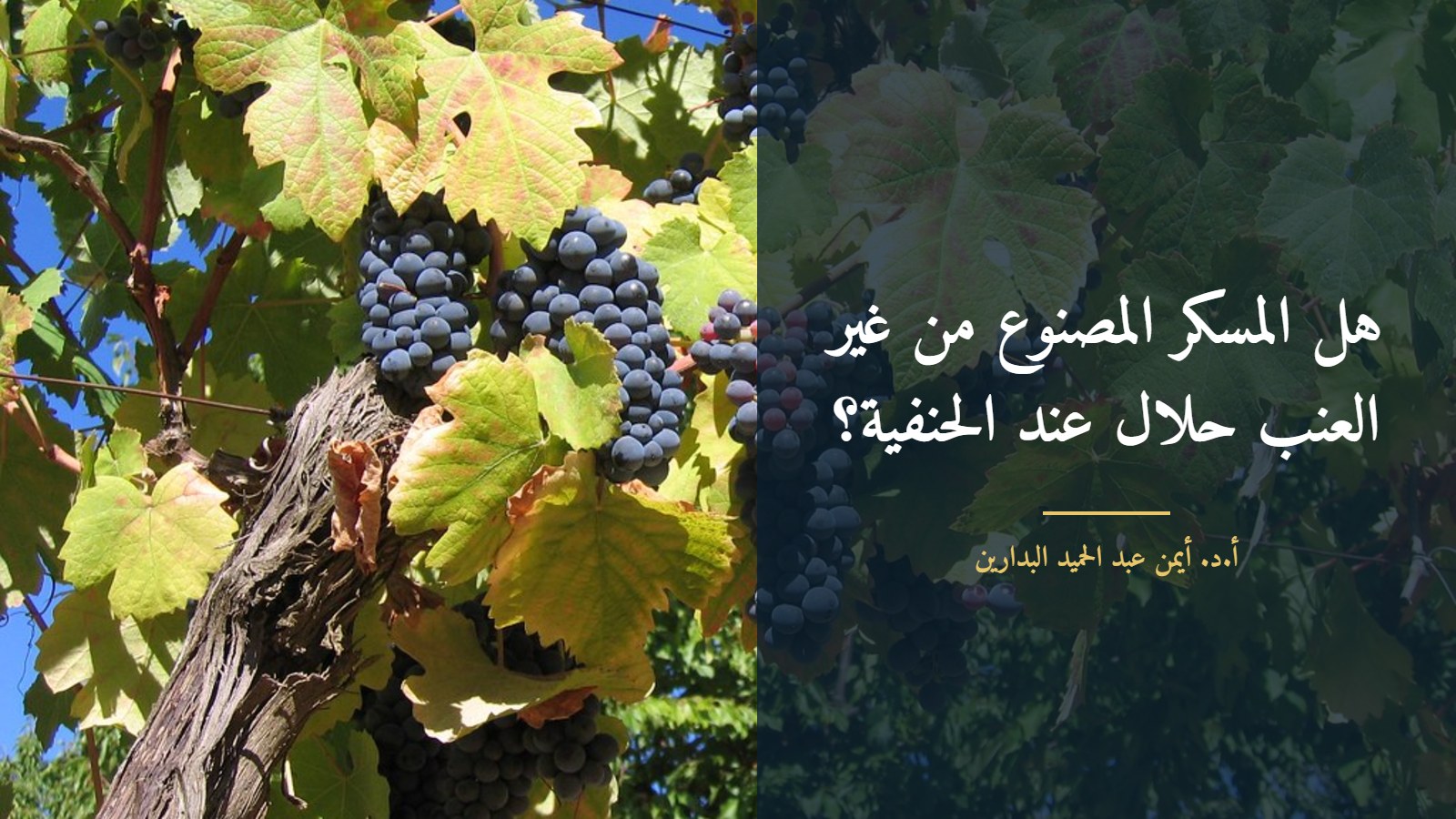 موقع الدكتور أيمن البدارين الرسمي|هل المسكر المصنوع من غير العنب حلال عند الحنفية