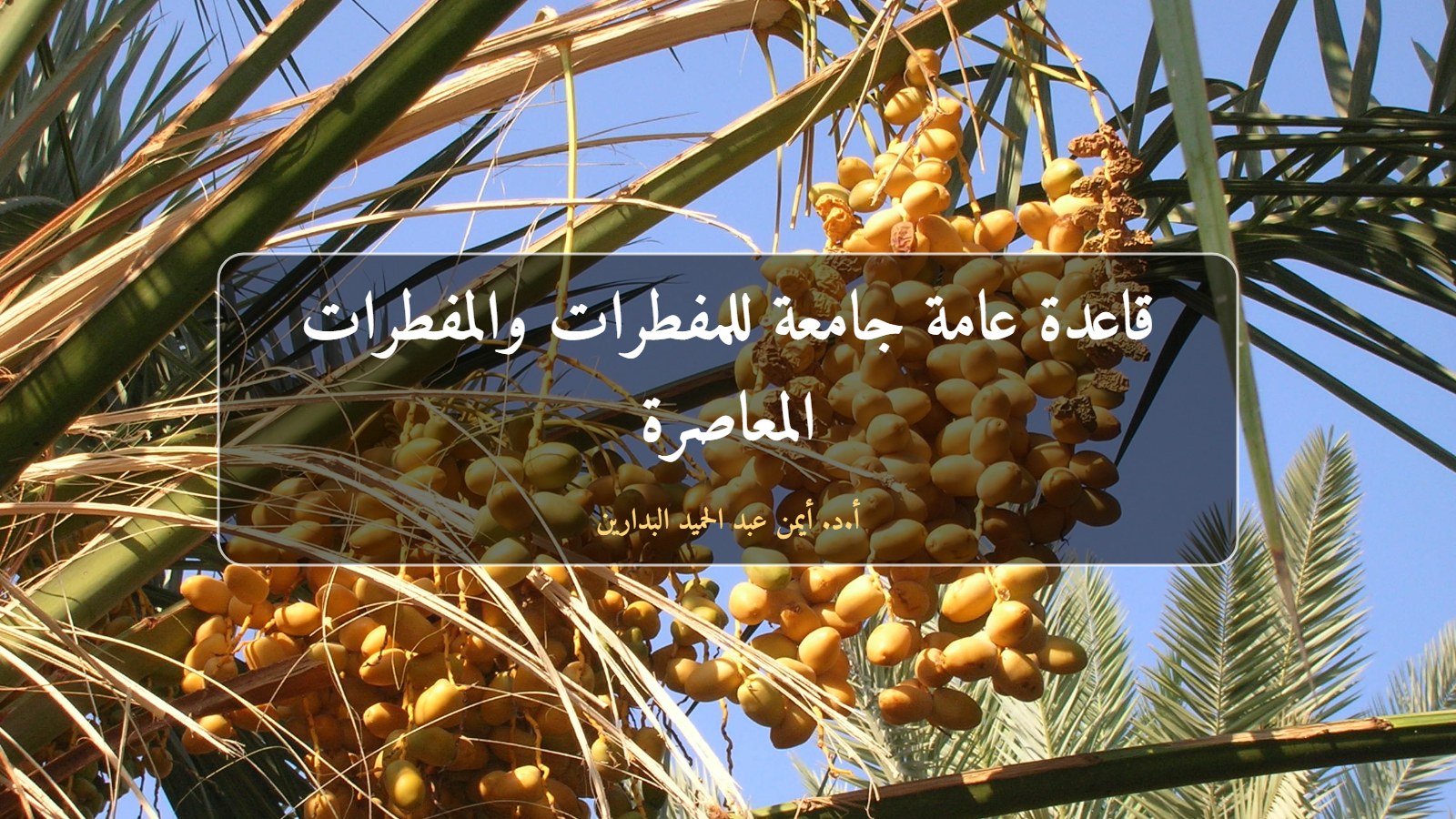 عذوق التمر على النخلة