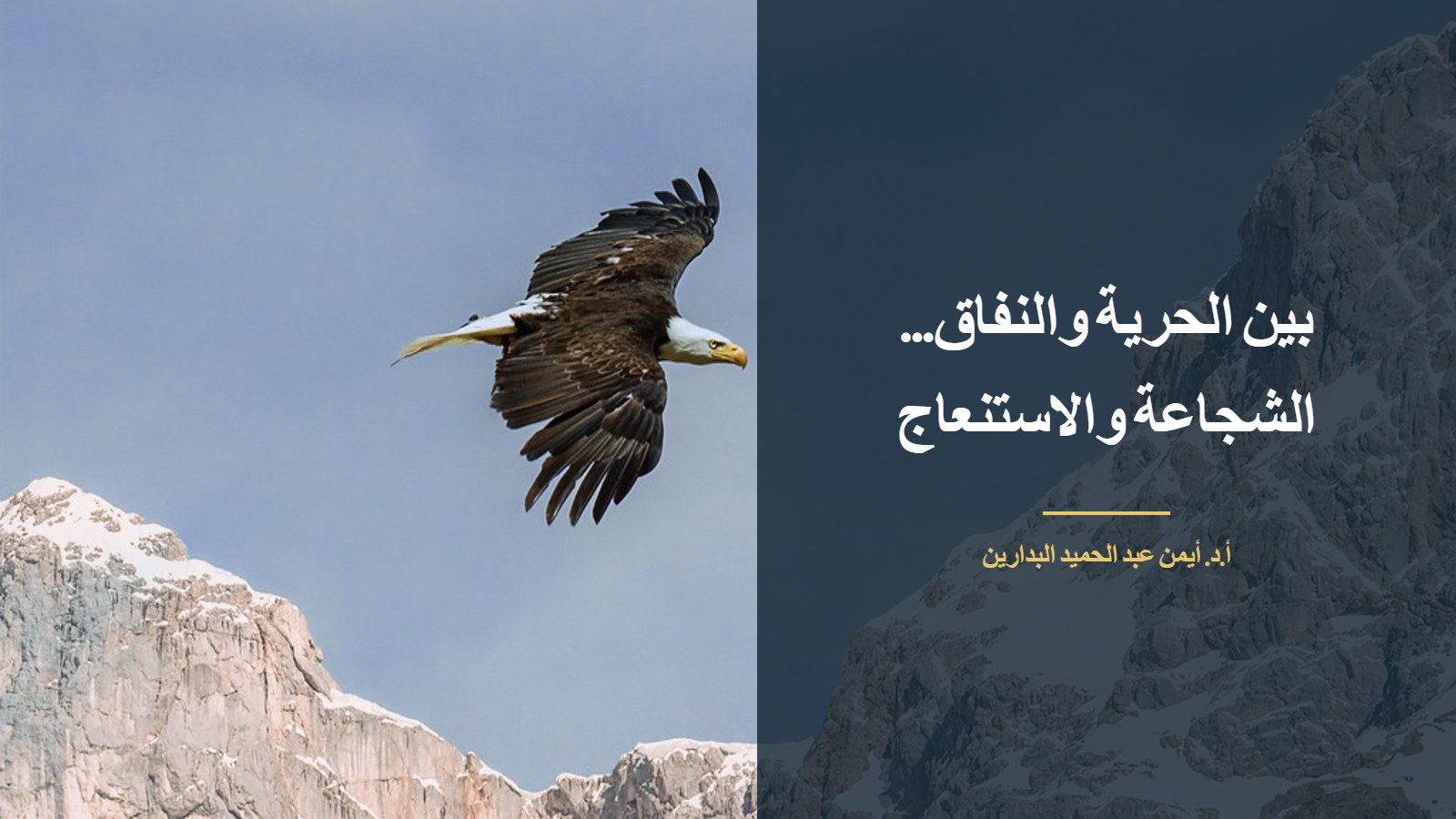 نسر يحلّق فوق الجبال